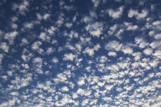 High altitude white cirrocumulus fleecy clouds in blue sky at sunrise in autumn, Laval, Quebec,