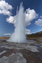 Strokkur is a fountain geyser located in a geothermal area in the southwest part of Iceland. It is