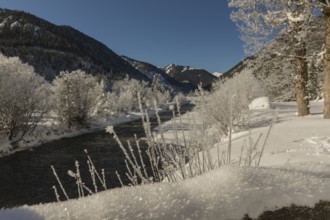 The Riss creek flowing through a snow covered landscape in the Eng valley. Sunny day with blue sky