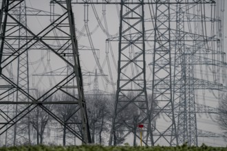 Large power line, 380 KV extra-high voltage lines, near Rommerskirchen, in the fog, winter, North