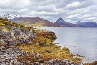 Fjordbotn on the island of Senja in Norway