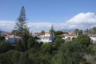 Andalusia, villas in a green landscape