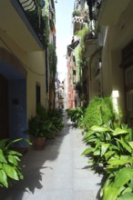 Alley in Cambrils old town, Catalonia