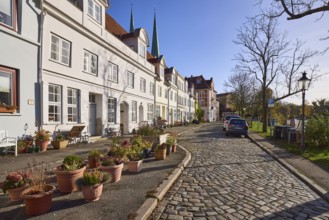 Street An der Obertrave, flower pots with plants, cobblestone pavement, lantern, trees, backlight,