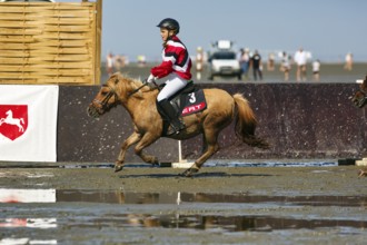 Rider, pony at a gallop, child at a gallop race in the mudflats, Duhner Wattrennen 2019, Duhnen,