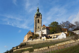 Church and houses on a hill with vineyards under a clear sky, Church of St Peter and Paul, Melnik,