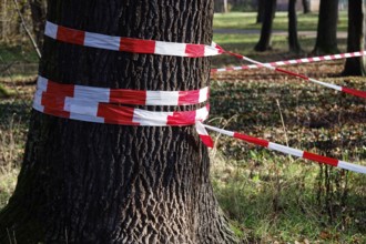 Barrier, danger of falling trees, Germany, Europe