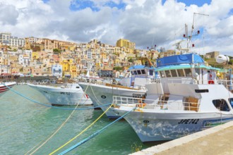 View of Sciacca harbour, Sciacca, Agrigento district, Sicily, Italy, Europe