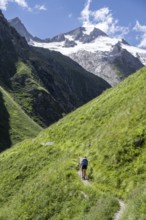 Hiker on hiking trail, view of Großer Schober and Rötspitze, Umbaltal, Hohe Tauern National Park,