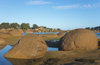 Rocky coast with trees under a clear blue sky, Baie de Sainte-Anne, Trégastel, Tregastel, Côte