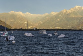 Boats lying in the water, Locarno, Lake Maggiore, surrounding mountains in the evening light,