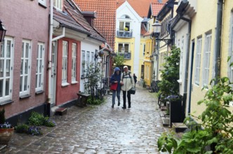 Cobbled street in the old town of Aalborg, Jutland, Denmark, Scandinavia, Europe