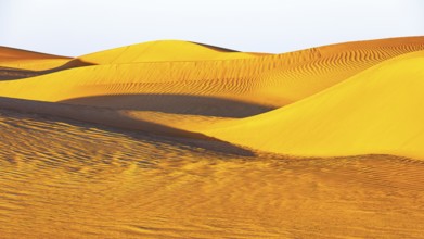 Wind-sculpted curved sand dunes in the Rub al Khali desert, Dhofar province, Arabian Peninsula,