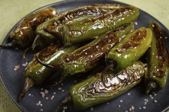 Fried padron pepper, in a frying pan, with olive oil, and sea salt, homemade, no people.