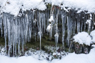 Winter, icicles, Oberallgäu, Allgäu, Bavaria, Germany, Europe