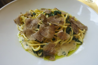 Pasta dish served on a plate, spaghetti with spinach and truffle, vegetarian, fine dining, South