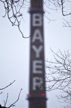 Bayer lettering on a chimney behind bare branches, Bayer AG, agrochemical and pharmaceutical