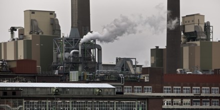 Site of Bayer AG, agrochemical and pharmaceutical company, Leverkusen, Bergisches Land, North