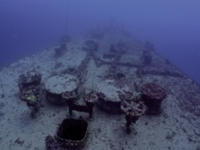 A ship deck covered with coral lies in the sea, dive site wreck of the USS Spiegel Grove, John