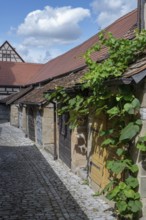 Wine cellar from the 15th century, in the historic fortified church, Hüttenheim, Lower Franconia,