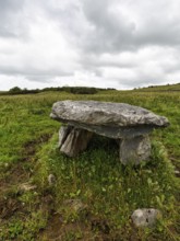 Unknown dolmen in a meadow, County Clare, Ireland, Europe