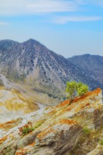 Nisyros volcano view, Nisyros Island, Dodecanese Islands, Greece, Europe