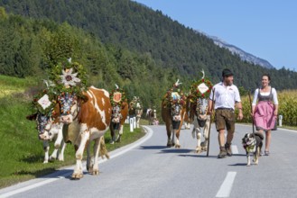 Alpine pasture descent through the village of Terfens, from the Eng-Alm through the Karwendel