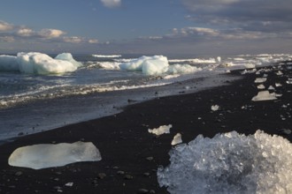 Little icebergs and crushed ice on the black beach at Joekulsarlon glacial lake