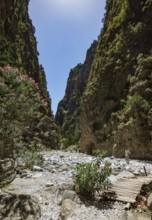 Hiking trail through the Samaria Gorge, south coast, Crete, Greece, Europe