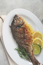 Baked dorado fish, in the oven, fried dorado, with spices and herbs, on a white plate, top view,