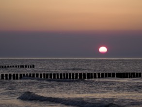 Sunset on the Darß, Mecklenburg-Western Pomerania, Germany, Europe