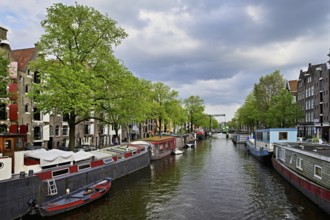 Canal houses, houseboats in the Brouwersgracht, Amsterdam, province of North Holland, Netherlands