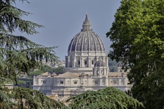 Cathedral, St Peter's, St Peter's Basilica, Vatican, Rome, Lazio, Italy, Europe