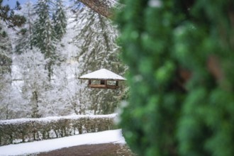 A small birdhouse hangs in the middle of a snowy forest landscape with green trees in the