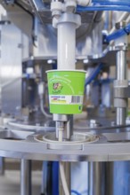 Ice cream production with machine that fills green cups, ice cream production Haselstaller Hof,