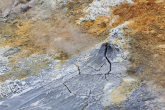 Krýsuvík, solfatara field at Seltún, Austurengjar, Reykjanes nature reserve, Reykjanes Peninsula,