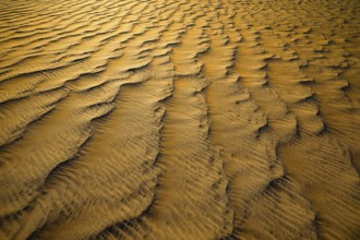 Sand structure formed by the wind, in the Rub al Khali desert, Dhofar province, Arabian Peninsula,