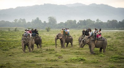 Tourists ride elephants during a safari at Kaziranga National Park on December 5, 2024 in