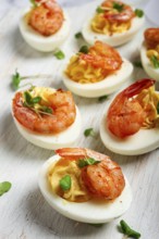 Boiled eggs stuffed with yolk and seasoned with mayonnaise, stuffed eggs with shrimp, on a white