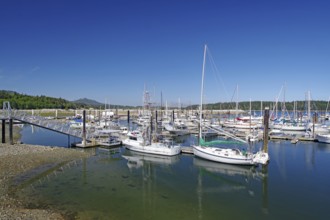 A harbour full of boats and sailboats under a clear blue sky, Cormorant Island, Vancouver Island,