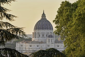 Cathedral, St Peter's, St Peter's Basilica, Vatican, Rome, Lazio, Italy, Europe