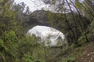 Ponte dell Orco stone arch, Ospedaletto, Trentino, Italy, Europe