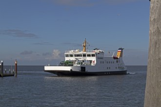 Pellworm ferry arrives, harbour, Strucklahnungshörn, Nordstrand, North Frisia, Schleswig-Holstein,