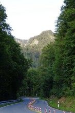 Kesselbergstraße, road between Kochelsee and Walchensee, August, Bavaria, Germany, Europe