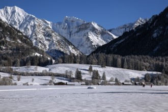 Winter landscape in the snow, mountains of the Allgäu Alps in the background, Oberstdorf,