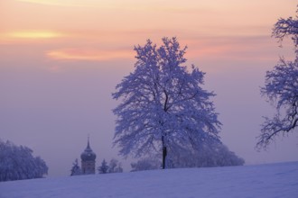 Sunrise with hoarfrost in winter, at the Schlossberg, Eurasburg, Loisachtal, Upper Bavaria,