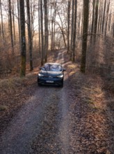 A car on a narrow forest path, flooded with sunlight, in autumn, car sharing, electric car,