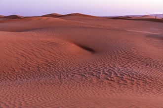 Sand structure formed by the wind, in the Rub al Khali desert, Dhofar province, Arabian Peninsula,