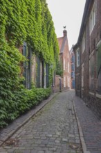 Narrow alley between historic houses, Leer, East Frisia, Lower Saxony, Germany, Europe