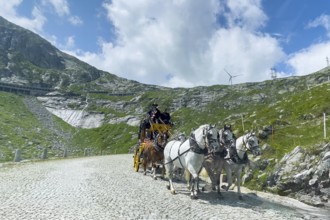 Old horse-drawn carriage with double team of five horses for tourist ride on historic St. Gotthard